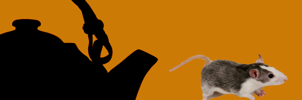 TeaPot Tea Pot and Mouse