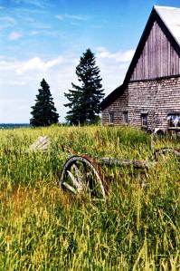 Barn in field.