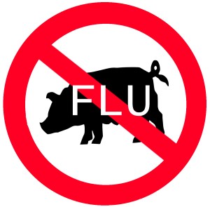 I do not have the flu. Yet.