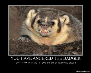 YouHaveAngeredTheBadger
